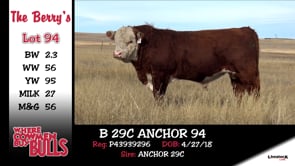 Lot #94 - B 29C ANCHOR 94