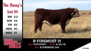 Lot #91 - B FOREMOST 91