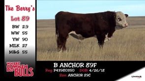 Lot #89 - B ANCHOR 89F