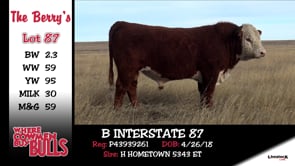 Lot #87 - B INTERSTATE 87