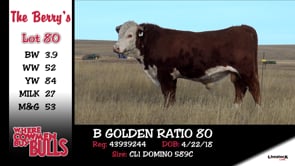 Lot #80 - B GOLDEN RATIO 80
