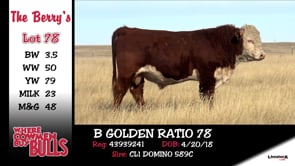Lot #78 - B GOLDEN RATIO 78