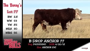Lot #77 - B DROP ANCHOR 77