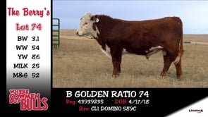 Lot #74 - B GOLDEN RATIO 74