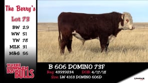 Lot #73 - B 606 DOMINO 73F