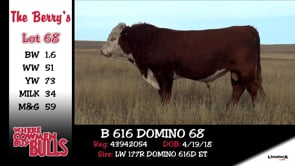 Lot #68 - B 616 DOMINO 68