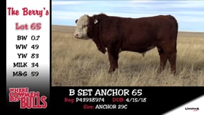 Lot #65 - B SET ANCHOR 65