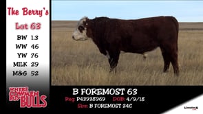 Lot #63 - B FOREMOST 63