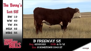 Lot #58 - B FREEWAY 58