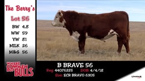 Lot #56 - B BRAVE 56