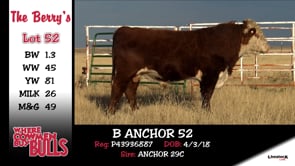 Lot #52 - B ANCHOR 52