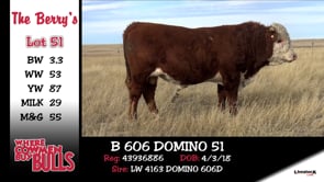 Lot #51 - B 606 DOMINO 51