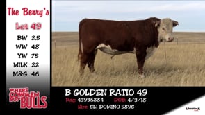 Lot #49 - B GOLDEN RATIO 49