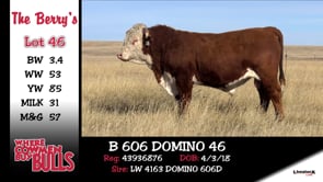 Lot #46 - B 606 DOMINO 46