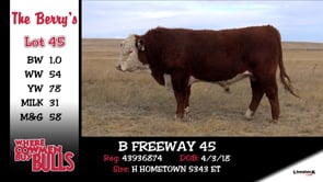 Lot #45 - B FREEWAY 45