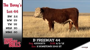 Lot #44 - B FREEWAY 44
