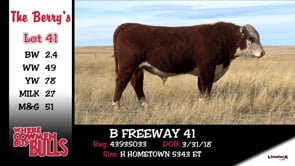 Lot #41 - B FREEWAY 41