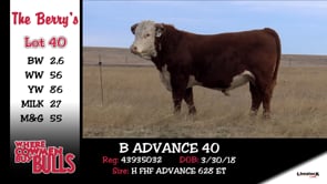 Lot #40 - B ADVANCE 40