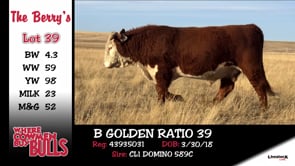 Lot #39 - B GOLDEN RATIO 39