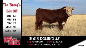 Lot #38 - B 616 DOMINO 38