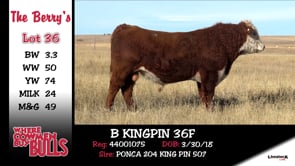 Lot #36 - B KINGPIN 36F