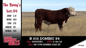 Lot #34 - B 616 DOMINO 34