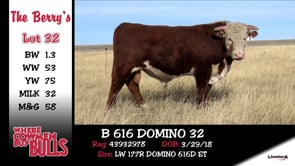 Lot #32 - B 616 DOMINO 32