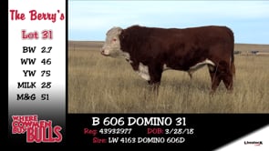 Lot #31 - B 606 DOMINO 31
