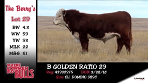 Lot #29 - B GOLDEN RATIO 29