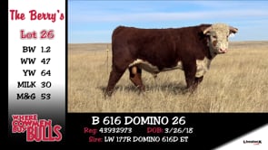 Lot #26 - B 616 DOMINO 26