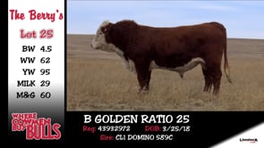 Lot #25 - B GOLDEN RATIO 25
