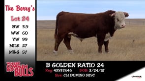 Lot #24 - B GOLDEN RATIO 24