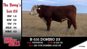 Lot #23 - B 616 DOMINO 23