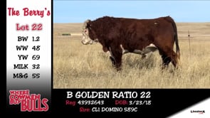 Lot #22 - B GOLDEN RATIO 22