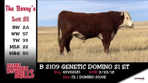 Lot #21 - B 2109 GENETIC DOMINO 21 ET