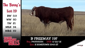 Lot #19 - B FREEWAY 19F