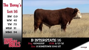 Lot #16 - B INTERSTATE 16