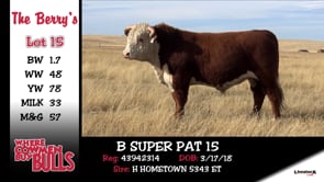 Lot #15 - B SUPER PAT 15