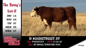 Lot #8 - B MAINSTREET 8F