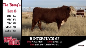 Lot #6 - B INTERSTATE 6F