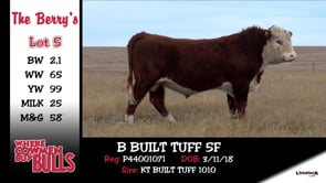 Lot #5 - B BUILT TUFF 5F
