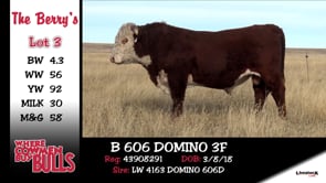 Lot #3 - B 606 DOMINO 3F