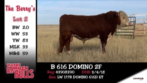 Lot #2 - B 616 DOMINO 2F