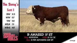 Lot #1 - B AMAZED 1F ET