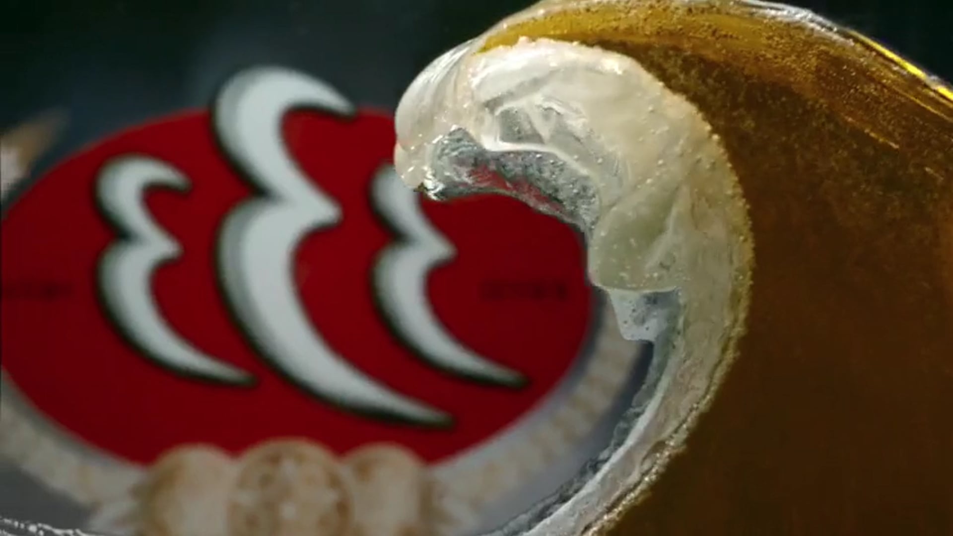 Avi Karipck-333 beer