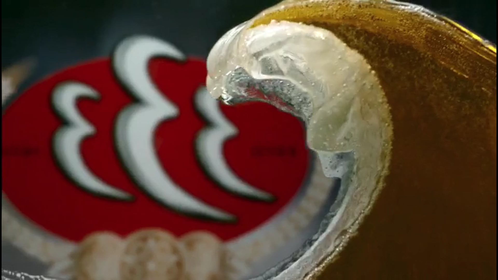 Avi Karipck-333 beer