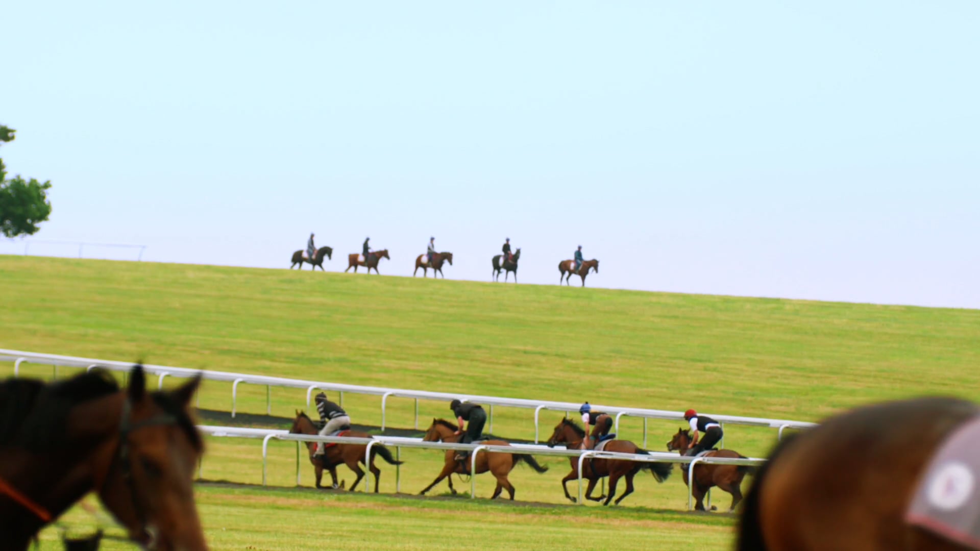 Arab Cargo - Race Day