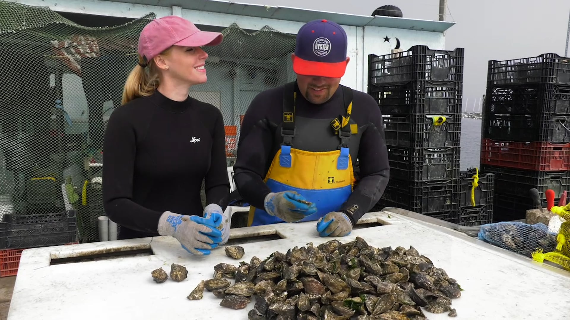 Morro Bay Oyster Farming