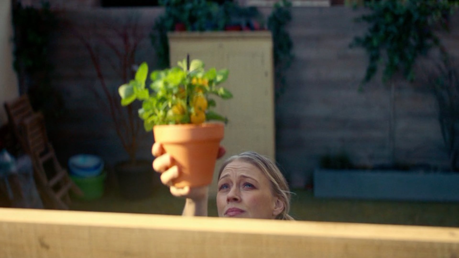 nuon solar energy "sun plant"