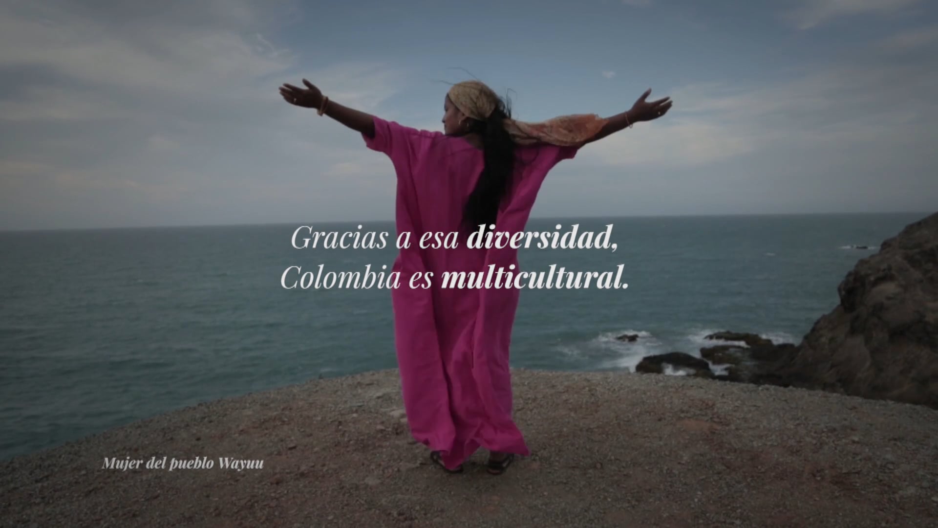 "We are just another species". Video @Humboldt Forum Video